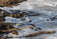 DEQ study throws cold water on data center development east of I-95 The frozen Potomac River. (Photo by Sarah Vogelsong/Virginia Mercury)