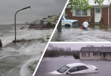 Hampton leaders cool to limited Army Corps flood solutions The cover image of the U.S. Army Corps of Engineers Norfolk District report, "Peninsula Regional Coastal Storm Risk Management," released in July 2026. (Photo courtesy US Army Corps of Engineers, Norfolk Division)